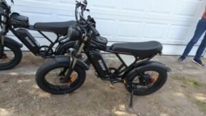 Ridstar Q20 20″ Fat-Tyre Electric Dirt Bike – Peak 1500 W motor, 48 V 15.6 Ah battery (30-75 mi range), 30 mph top-speed photo review