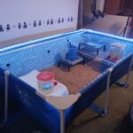 Intex 9.8ft x 6.6ft x 29.5in (300cm x 201cm x 75cm) Rectangular Above Ground Pool with Metal Frame & Flow Control Valve – Easy Setup Family Backyard Pool – 4,500L Capacity – Blue photo review