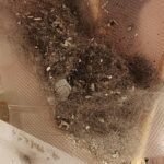 eufy Omni C20 Robot Vacuum and Mop Combo | 7000Pa Suction, Self-Emptying, Auto Mop Wash & Dry, Ultra-Slim, All-in-One Cleaning Station photo review