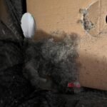 Shark Matrix Plus 2-in-1 Robot Vacuum & Mop with Sonic Mopping, Matrix Clean Navigation, Self-Empty HEPA Base, Precision Mapping, CleanEdge Technology, Pet Hair Removal, WiFi/App Control, RV2610WA photo review