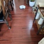 Dreame L10s Ultra Gen 2 Robot Vacuum and Mop – 10,000Pa Suction, Smart MopExtend, AI Pathfinding, Auto-Cleaning & Drying, Self-Empty Base, Pet & Carpet Optimized photo review