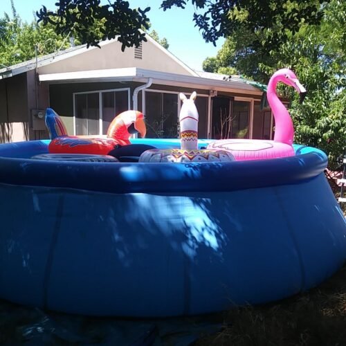 Intex 28167EH Easy Set Inflatable Pool Set – 15ft (4.57m) x 48in (122cm) Round Above Ground Pool with 1,000 GPH Pump, Ladder, Cover & Ground Cloth – 3,736 Gallon (14,141L) Capacity – 3-Ply PVC photo review