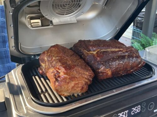 Ninja Woodfire Pro XL OG850 Electric Outdoor Grill and Smoker – 4-in-1 Portable BBQ with Built-In Thermometer, Air Fry, Bake, and Real Woodfire Flavor – Stainless Steel, 22-Inch, Dark Grey photo review