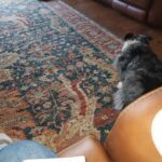 Roborock S8+ Robot Vacuum and Mop Combo, 6000Pa Suction, Sonic Mopping, Auto Mop Lift, Self-Empty Dock, 3D Obstacle Avoidance, Smart App Control, 60-Day Dust Bin, White photo review