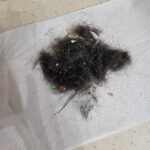 Shark AV2501S AI Ultra Robot Vacuum with HEPA Self-Empty Base, Matrix Clean Navigation, 30-Day Bagless Capacity, Smart Mapping, Voice/App Control, Perfect for Pet Hair & All Floors, Dark Grey photo review