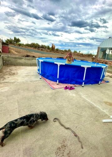 Intex 28211EH Metal Frame Pool Set – 12ft (3.66m) x 30in (76cm) Round Above Ground Swimming Pool with 530 GPH Pump – 1,718 Gallon (6,504L) Capacity – 3-Ply Puncture-Resistant PVC – Rust-Resistant Frame photo review