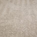 Shark AI Ultra Robot Vacuum – Self-Emptying, Smart Mapping, Matrix Clean, 60-Day XL Base, Pet Hair Pickup, Voice/App Control, LiDAR Navigation for Carpet & Hard Floors photo review