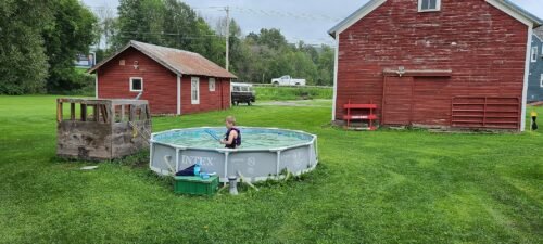 Intex 26701EH Prism Frame 10ft (3.05m) x 30in (76cm) Above Ground Pool Set – 1,185 Gallon (4,486L) Capacity with Filter Pump – Rust & Puncture Resistant, Quick Setup photo review