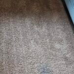 Shark AI Ultra Robot Vacuum – Self-Emptying, Smart Mapping, Matrix Clean, 60-Day XL Base, Pet Hair Pickup, Voice/App Control, LiDAR Navigation for Carpet & Hard Floors photo review