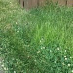 BLACK+DECKER 20V MAX Cordless 3-in-1 String Trimmer, 12″ (30.5 cm) Mower & Edger – Model MTC220 photo review